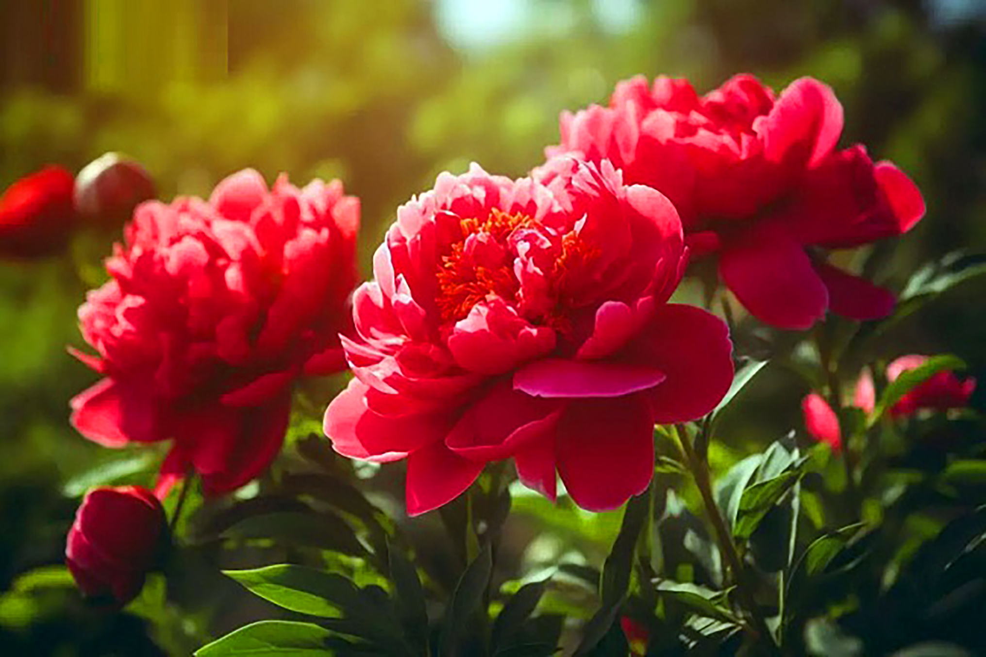 Hội thảo Lịch sử Đảng bộ xã Phú Lương 1930 – 2019